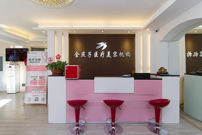 北京金燕子医疗整形机构是北京西城区一家高端医疗美容医院.